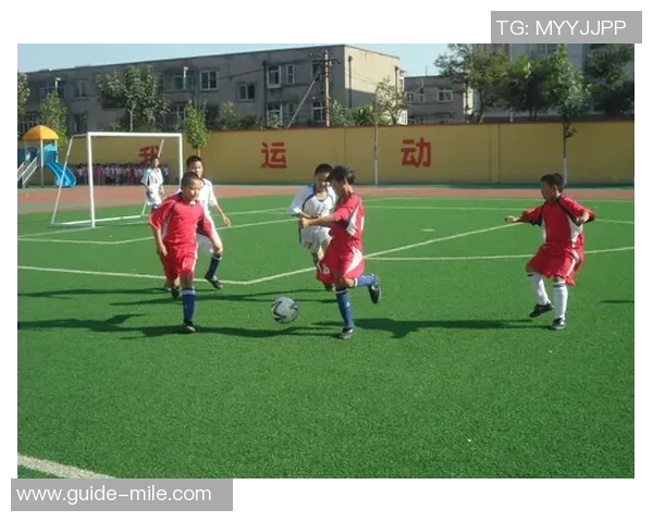 金石足球俱乐部：打造青春梦想的足球舞台与未来之星的摇篮